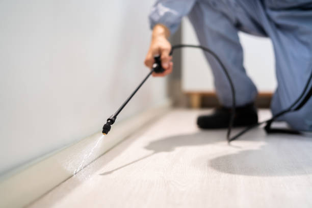 Licensed Pest Control service in Roseville, MI - Show Me Pest Control