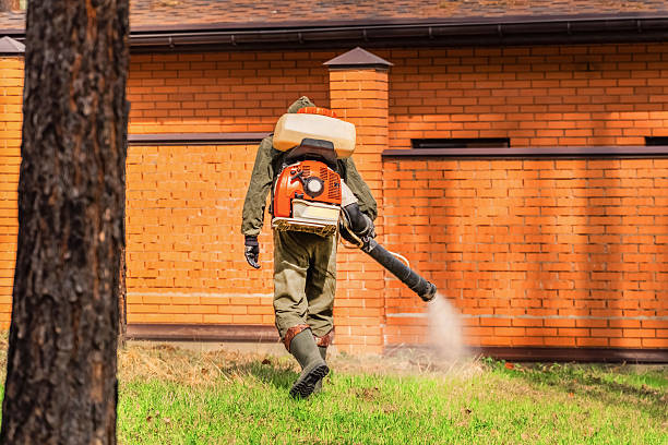 Top rated local Mosquito Control specialists in Roseville, MI